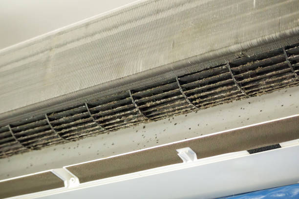 Best Air Filter Replacement Services in Mccook, NE